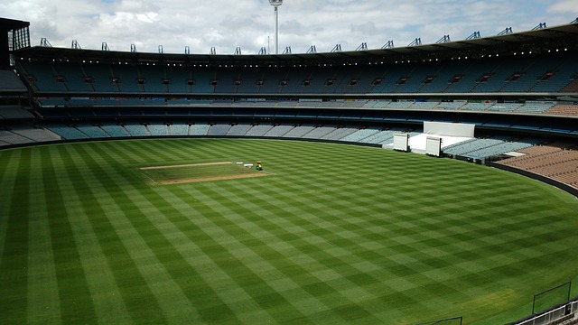 足协杯决赛：河南球迷接近北京的三倍；河南省领导将现场观战